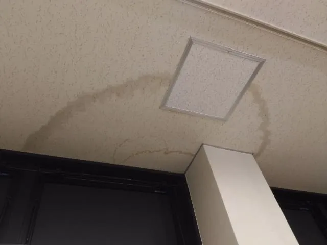 屋根工事で雨漏りを防ぐには？予防策と万が一のときの対処法を紹介